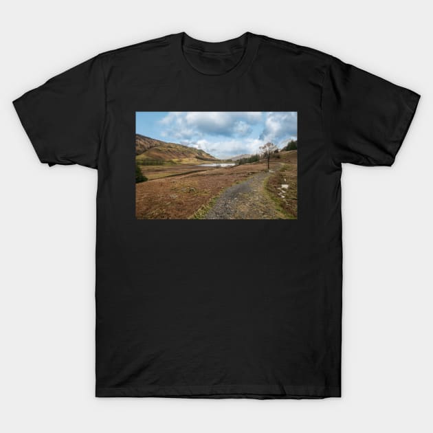 Blea Tarn T-Shirt by Reg-K-Atkinson